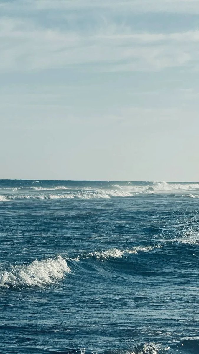 ocean 🌊 tweet media