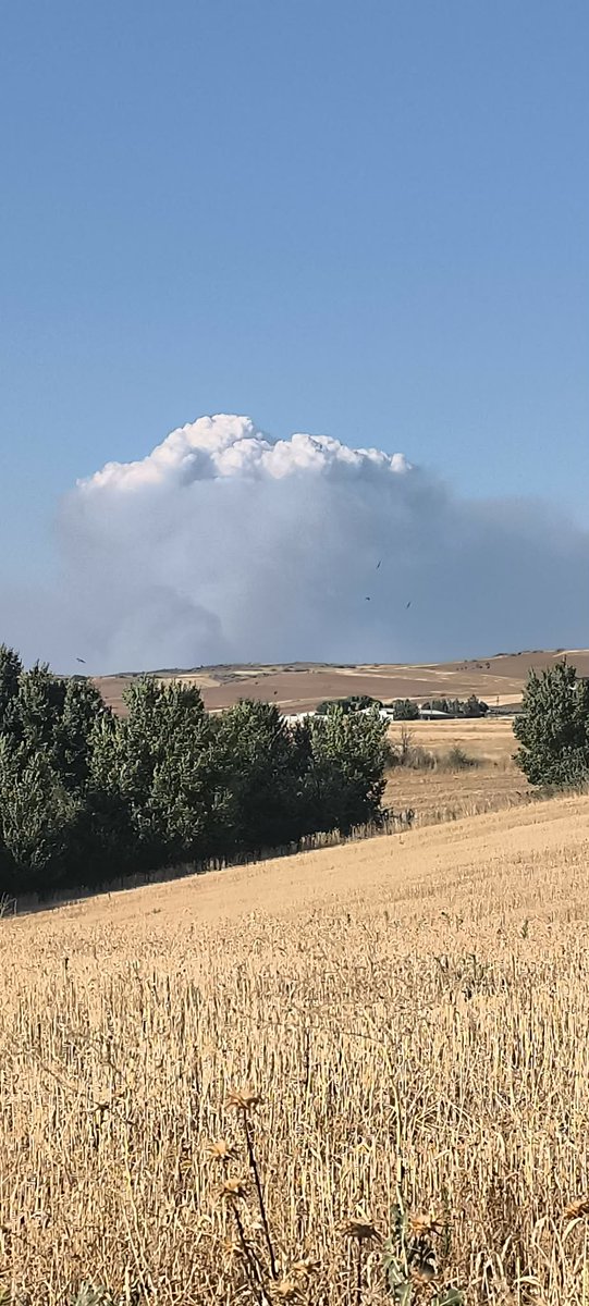 PacoCastanares's tweet photo. Ojo con el incendio forestal de #IFLaMierla, en Guadalajara. Tiene a poca distancia el de #IFLozoyuela, en Madrid. 

Situación muy complicada ahora mismo en esa zona.

En el vídeo pueden verse los dos incendios. El del #PyroCu es el de La Mierla, el de la columna inclinada hacia el de La Mierla, que se ve en el vídeo, es el de Lozoyuela.

📸 Jorge Muñoz
