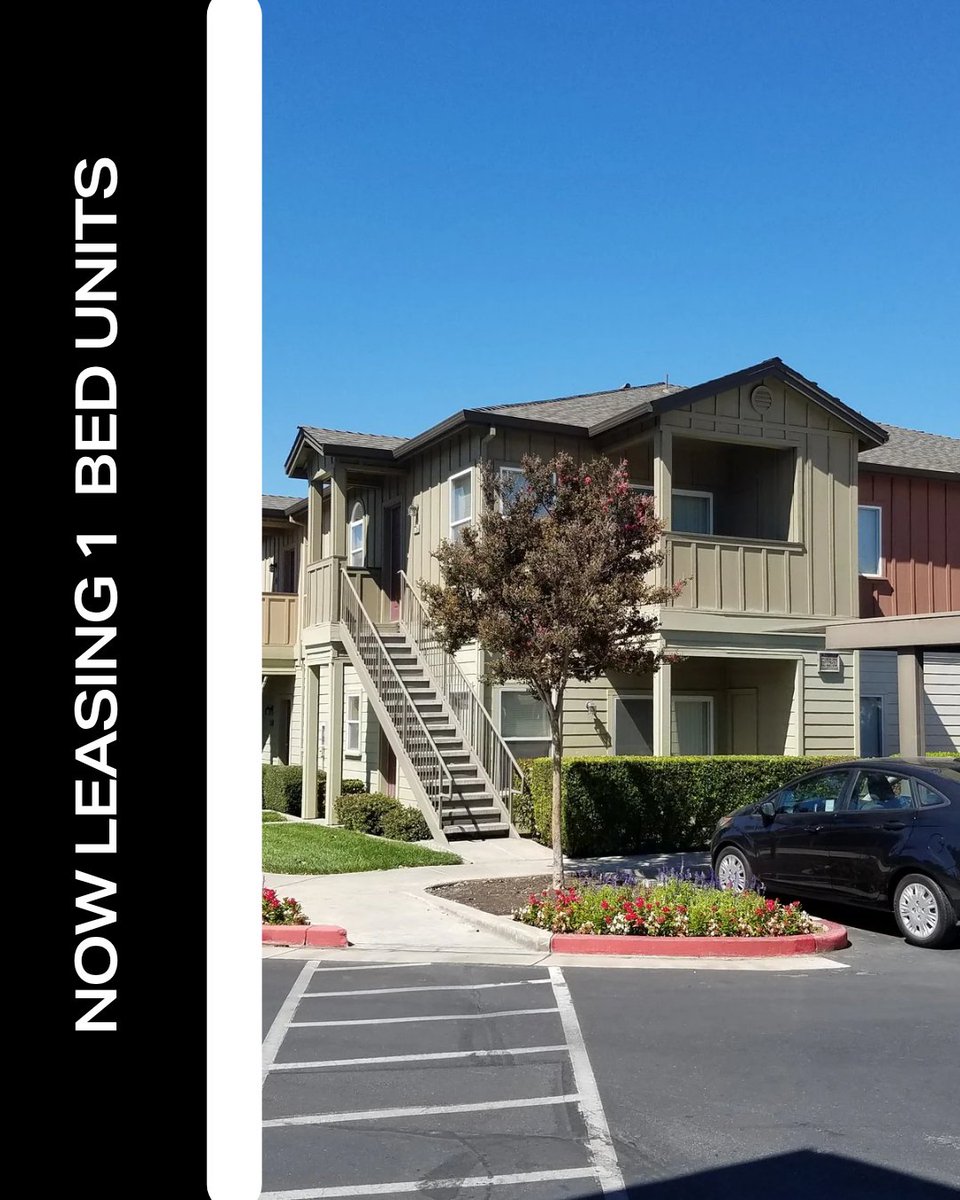 DavisOaksCondos's tweet photo. Why wait? Enjoy great leasing offers today! 🌟 Call to schedule your tour! https://t.co/FWqscXR6LK