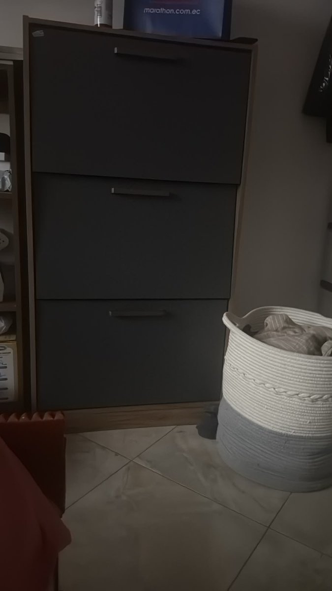 retsuko85's tweet photo. Moi se metió a la zapatera y no podía salir, Lola se dió cuenta. 

Lola y Piero lo fueron a ver.

Lola lo intentó rescatar.

Lola se quedó encerrada también. 

A Piero le valió… https://t.co/pUN94WpM7H