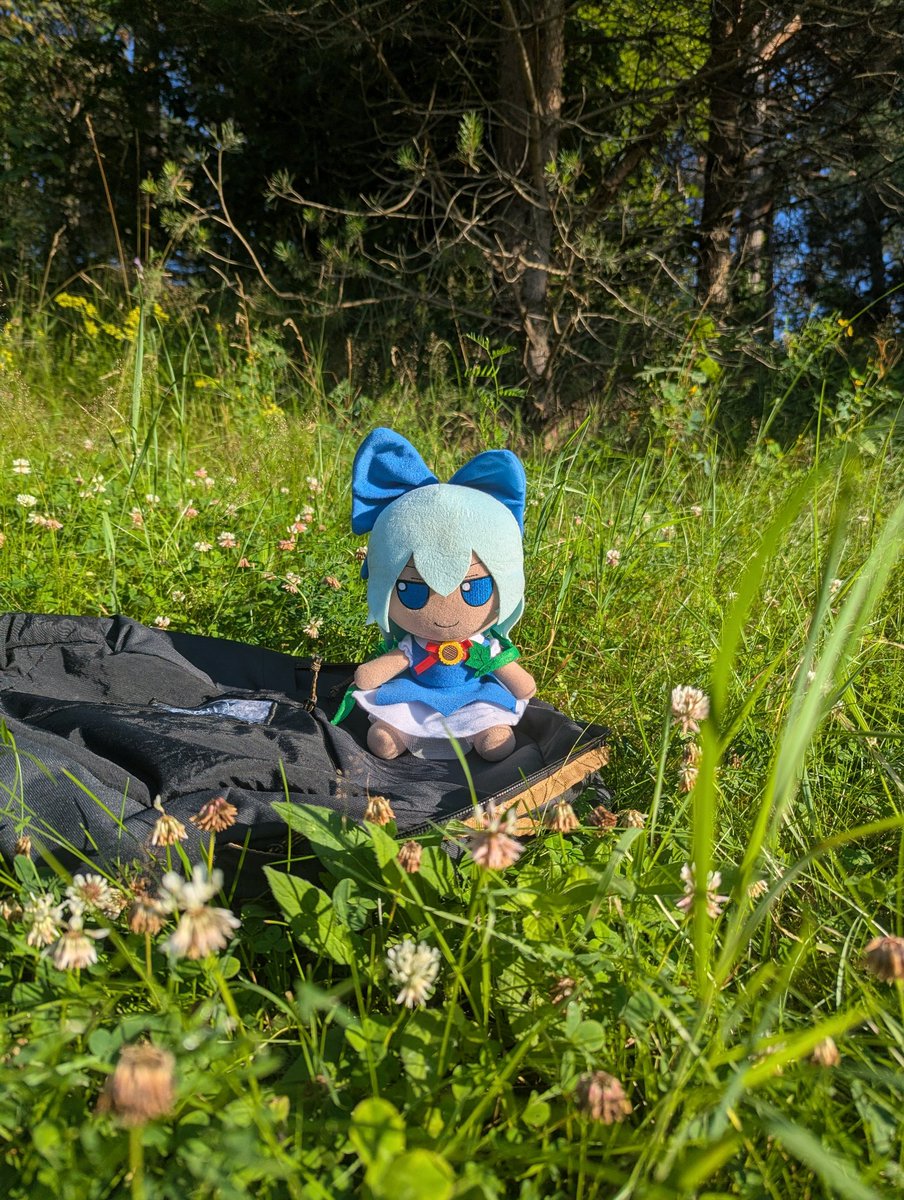 fstream_fumo tweet picture