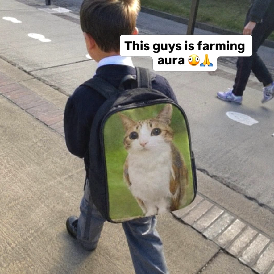 meowl_cto's tweet photo. meowlpack? 🦉 🙏 https://t.co/Fb81doYCiz