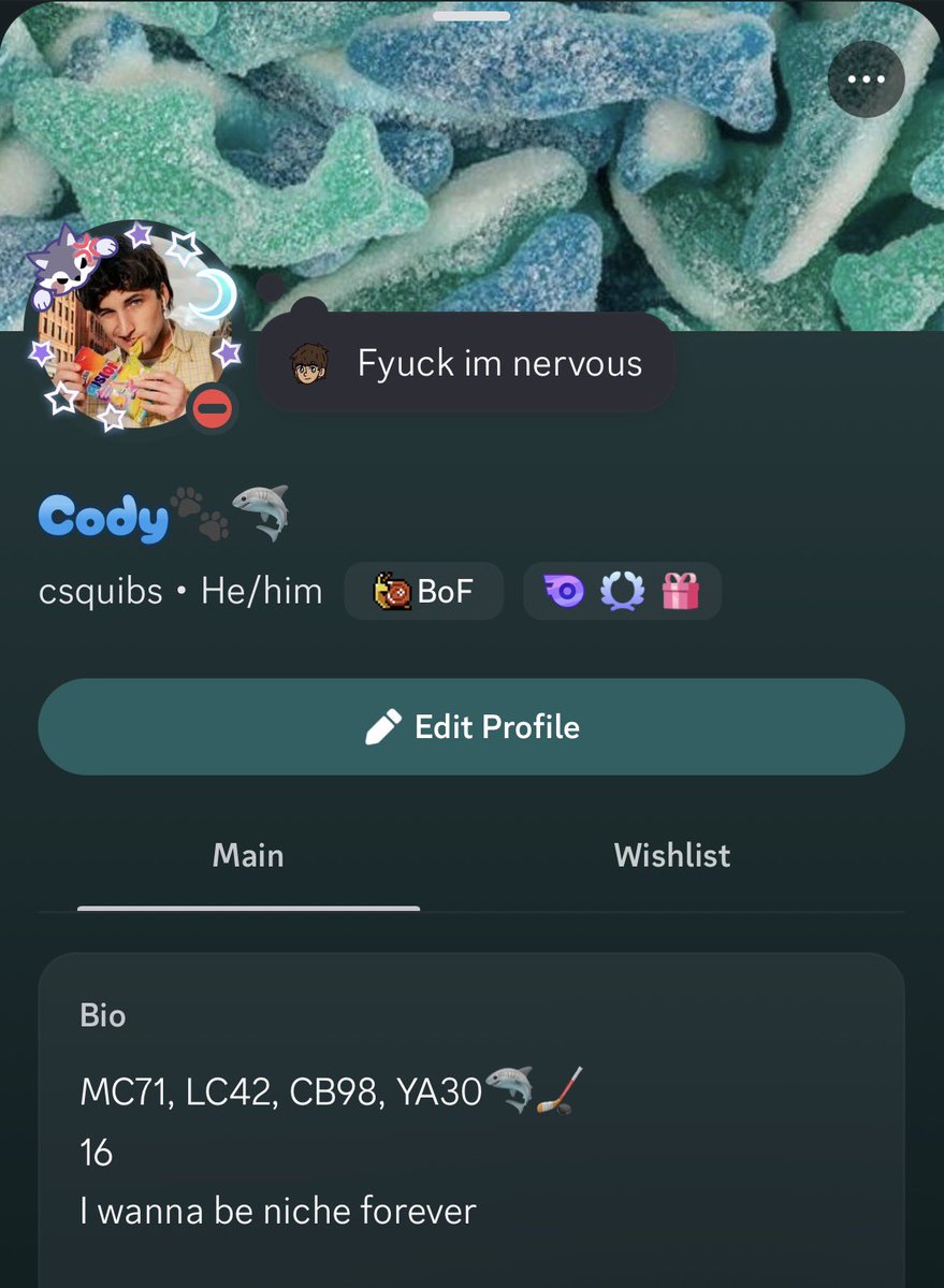 Cody🐾🦈 tweet media