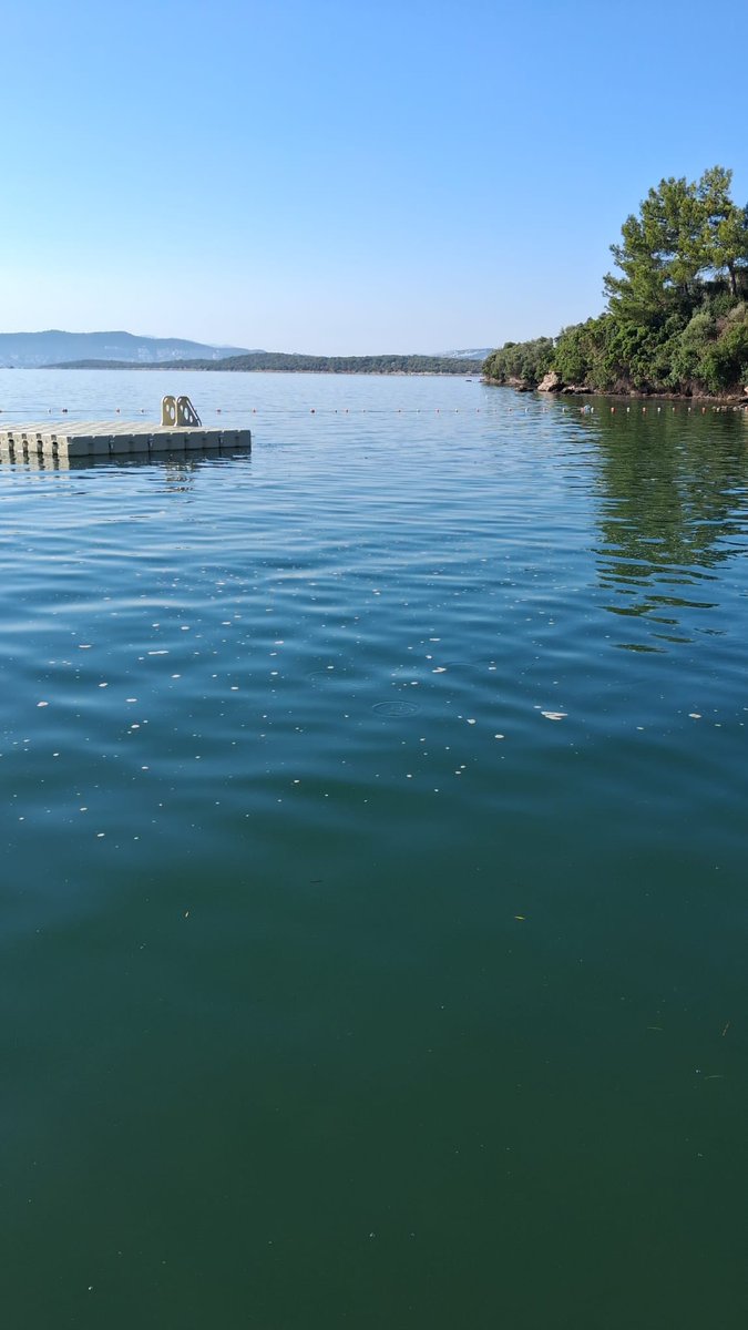 YusufYavuz3's tweet photo. Deniz kirliliğine ilişkin yeni görüntüler gelmeye devam ediyor. 

Bu görüntü de Muğla Milas’a bağlı İasos/Kıyıkışlacık bölgesinden. Körfezin genelinde benzer manzaralar yaşandığı belirtiliyor. 

Deniz yüzeyinde yağ tabakası olduğu görülüyor. 

Açıklamalar aşağıda.

⬇️ https://t.co/hAhzJ3fcTZ