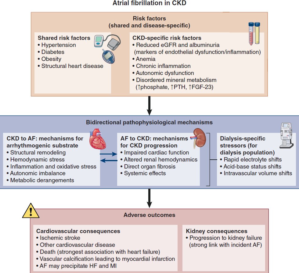 asnpublications's tweet photo. AF + CKD is a dangerous combination. Patients face higher risks of stroke, heart failure, kidney failure, hospitalization, and death. Evidence to guide treatment remains limited. Advancing research in cardio-kidney disease could improve outcomes for millions. #CKM https://t.co/4laaEVHhos #ASNCJASN