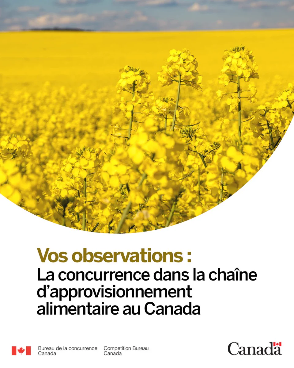  Image d’une plante de canola. Texte : Vos observations : la concurrence dans la chaîne d’approvisionnement alimentaire au Canada