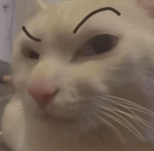 catzu_dhs25's tweet photo. @sundaepupp ? https://t.co/hwe4Frp1Nj