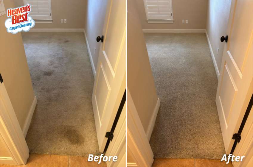 HeavBestBoone's tweet photo. Save time, money, and the hassle of waiting for your carpets to dry all day with Heaven's Best! Get in touch with us to schedule your next professional carpet cleaning - we promise you'll be glad you did! 😇☁️

(765) 482-2731 │ https://t.co/jaFZNijxYp https://t.co/Km9WoDL4d6