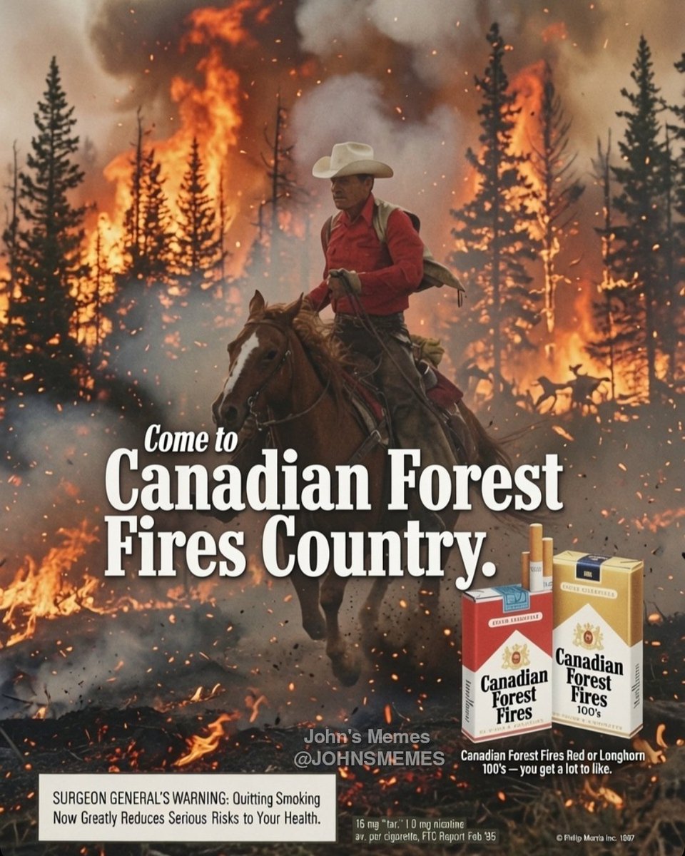 Johnsmemes's tweet photo. I believe i have smoked 3 packs of forest fire today alone. https://t.co/YyusYsfUow