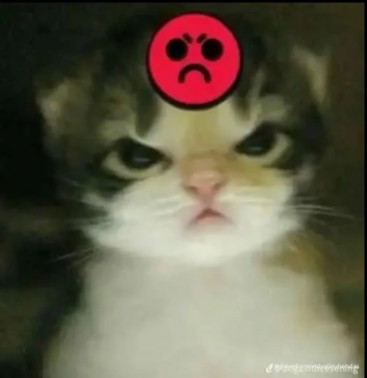 ServerExploit tweet picture