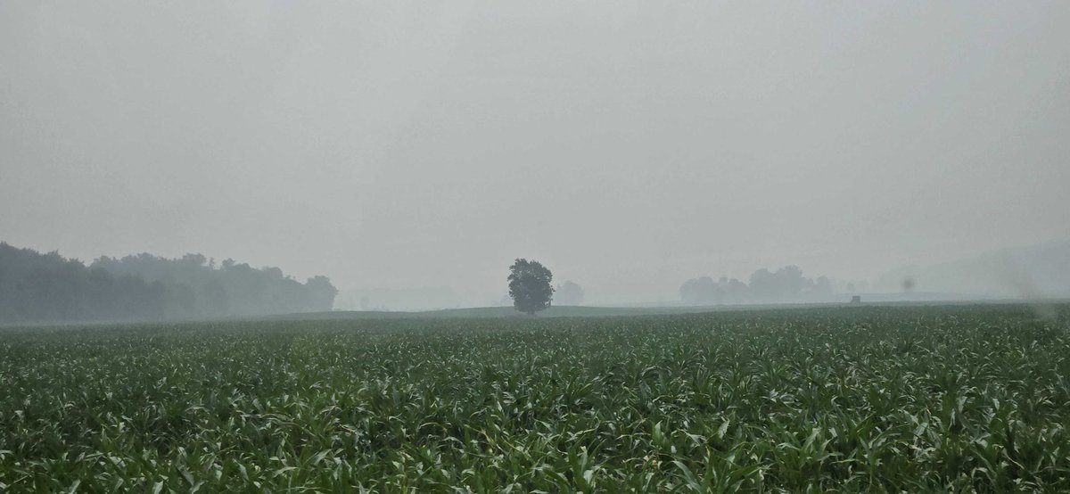 DDJ7777's tweet photo. Can't  wait to go outside and get some work done after work! #ohio https://t.co/dhLw5CzrJH