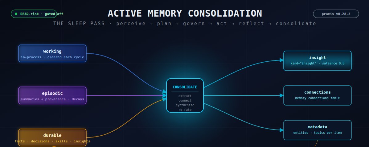 主动记忆整合：Praxis中睡眠通过模式的实现