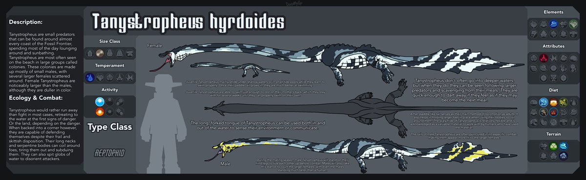 FossilFronter's tweet photo. DINO DOSSIER: TANYSTROPHEUS HYDROIDES

Skittish reptophids that can be found relaxing in warm beach environments https://t.co/G6yCB1hR85