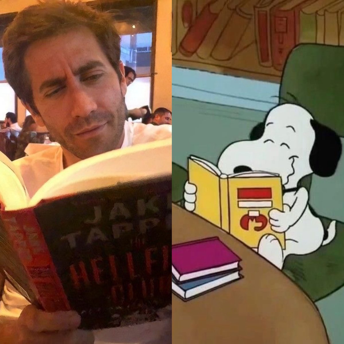 gyllenhaald4ily tweet picture