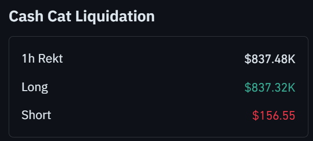 sully tweet media