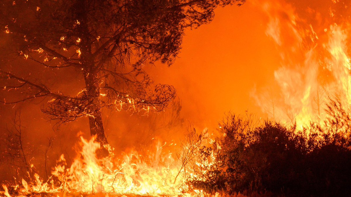 presse_point's tweet photo. En ajoutant la restauration de la forêt, les pertes économiques et environnementales, la facture totale pourrait atteindre entre 45 et 80 millions d’euros. https://t.co/qzaMzQIuyB