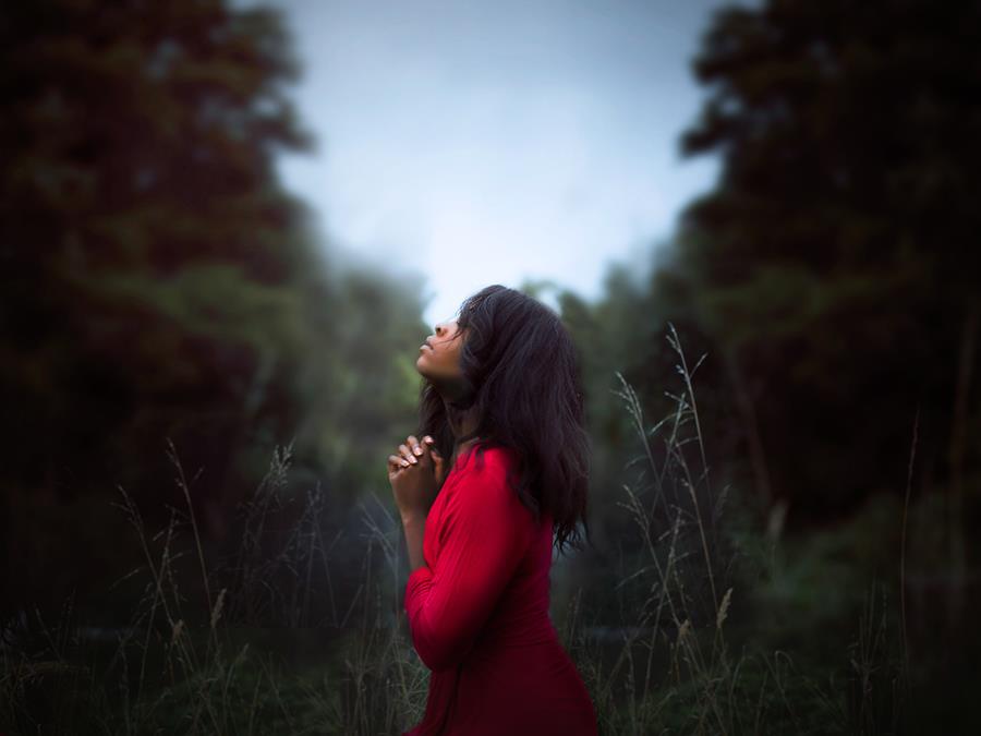 PrimeTimeWGod's tweet photo. Rejoice always, pray without ceasing, in everything give thanks...  1 Thessalonians 5:16-18 

Read and give Bibles and books​ that encourage your family and friends to rejoice, pray, give thanks and trust God...

CLICK...  https://t.co/CuFZzT1iLD https://t.co/iEZRT67EEg