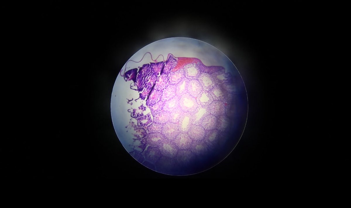 LabNotesMaha tweet picture