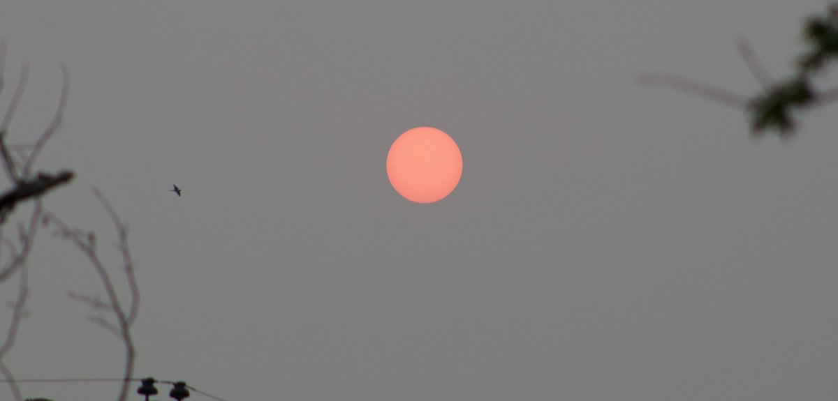 sinned_mc's tweet photo. The Sun, here in NJ ☀️ https://t.co/wbao45ZERT
