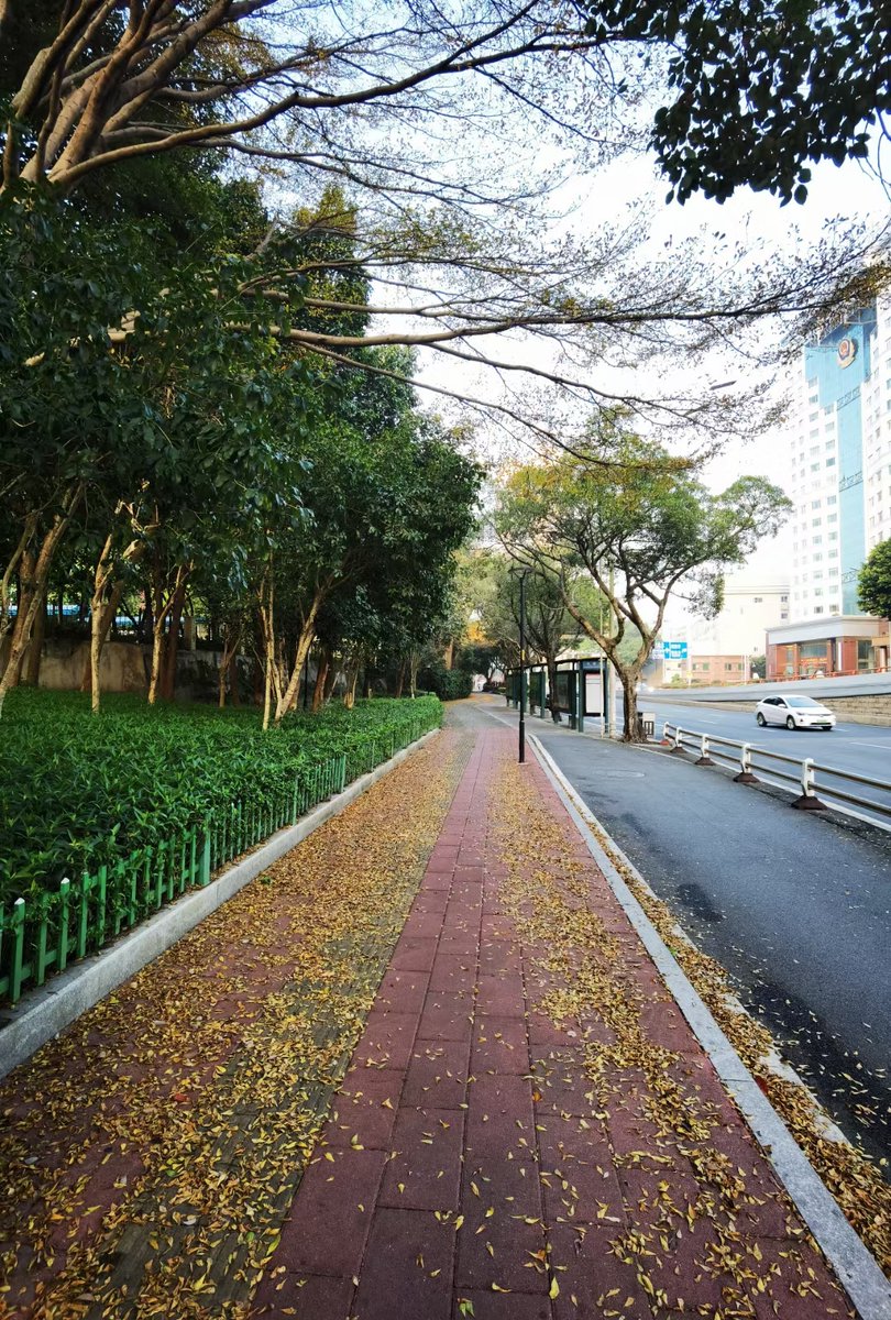 sugahcrushb8's tweet photo. [Sunny spring morning = perfect for a 5km walk with a warm latte! ]， https://t.co/MlqWekepjN