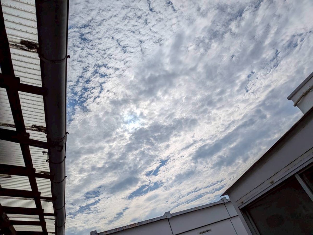 ikeda_package's tweet photo. おはようございます
今日の広島の天気はくもり☁️
最高気温33℃😢

今日は #東京の日 🗼
1868年の今日、江戸から東京に
改称されたそうです👀

今日頑張れば3連休
こまめな休憩と水分補給、塩分補給を大切にして
気持ちよく連休を迎えましょう🌼

#企業公式が毎朝地元の天気を言い合う 
#イマソラ https://t.co/vj0NqPRME8