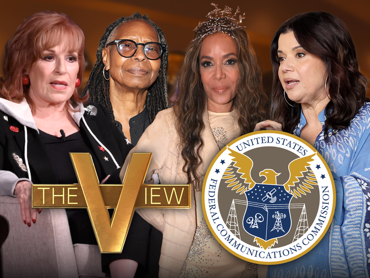 TMZ's tweet photo. FCC planning to crack down on "The View." https://t.co/K4ioewlUKB https://t.co/R5Fmb2EBVL