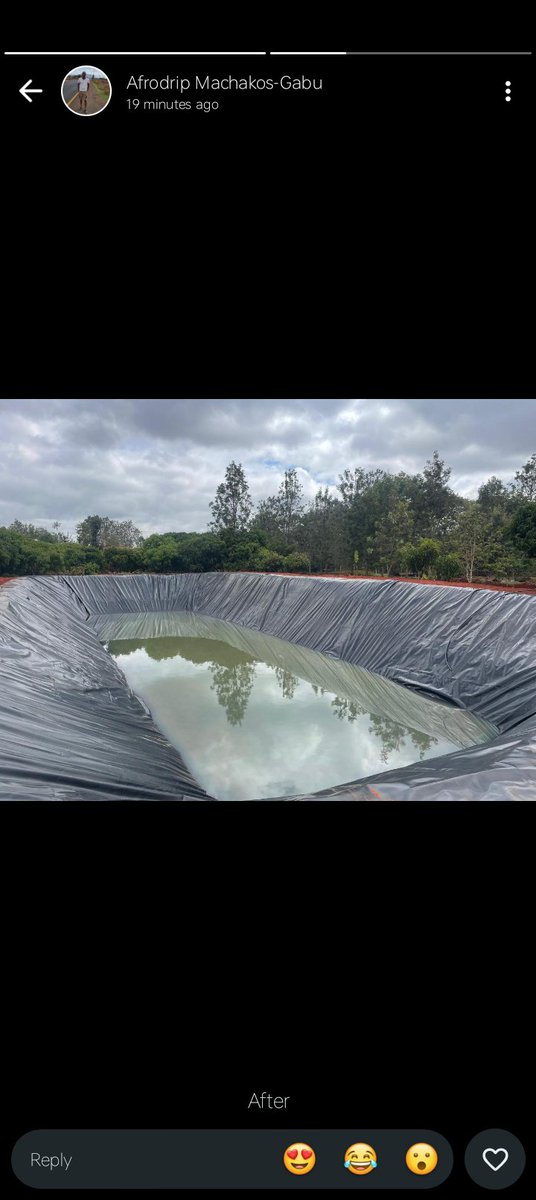 globofarming's tweet photo. Smart water harvesting solutions, with a budget of less than 1000usd, the cost of a 10,000L tank you could harvest more than 200,000L of just rain water securing your farming journy all year round.

Make smart choises today and reach us on 0790542953 for quotes and quarries https://t.co/e0HoKecfSv