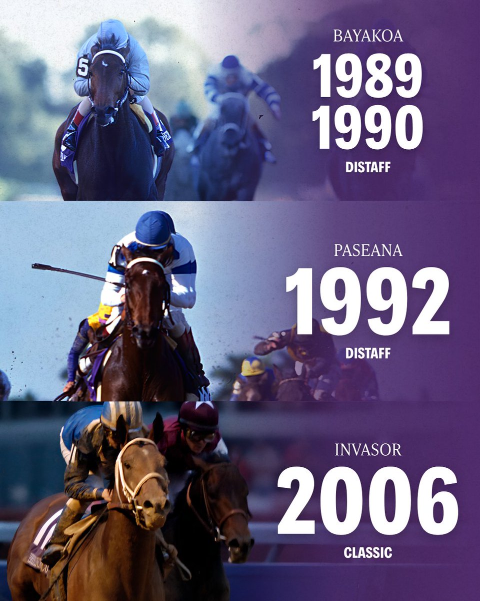 Breeders' Cup tweet media