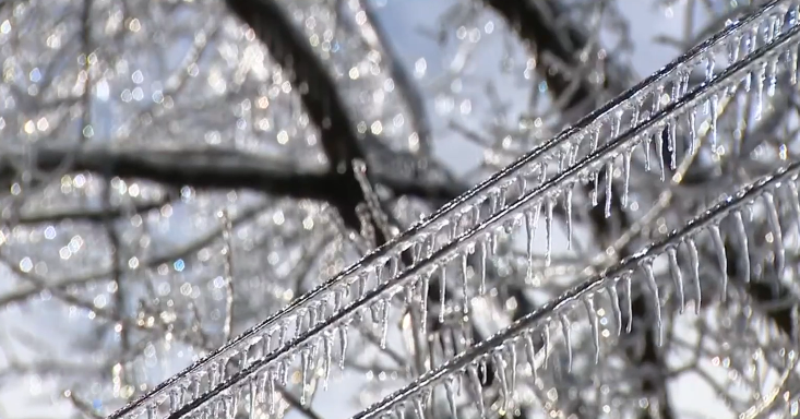 FOXNashville's tweet photo. POLL: Should the Office of Emergency Management provide more transparency after events like this year's winter storm?
Vote in the link in our BIO!
#OEM #IceStorm #WinterStorm #Nashville https://t.co/7Bb70Cq63B