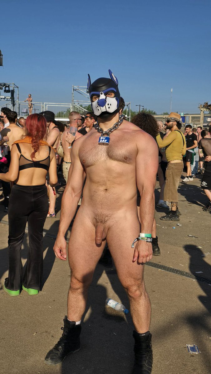 PupBuday's tweet photo. See you at Whole Festival 🐾🌈 https://t.co/5CBAdcau79
