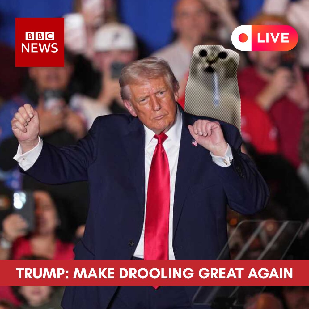 ChainOn32404's tweet photo. We've got the cat runner lads. 
Drooooolions and Droooooolions.
2026 is for drooling. https://t.co/Xy6LVTUlDs