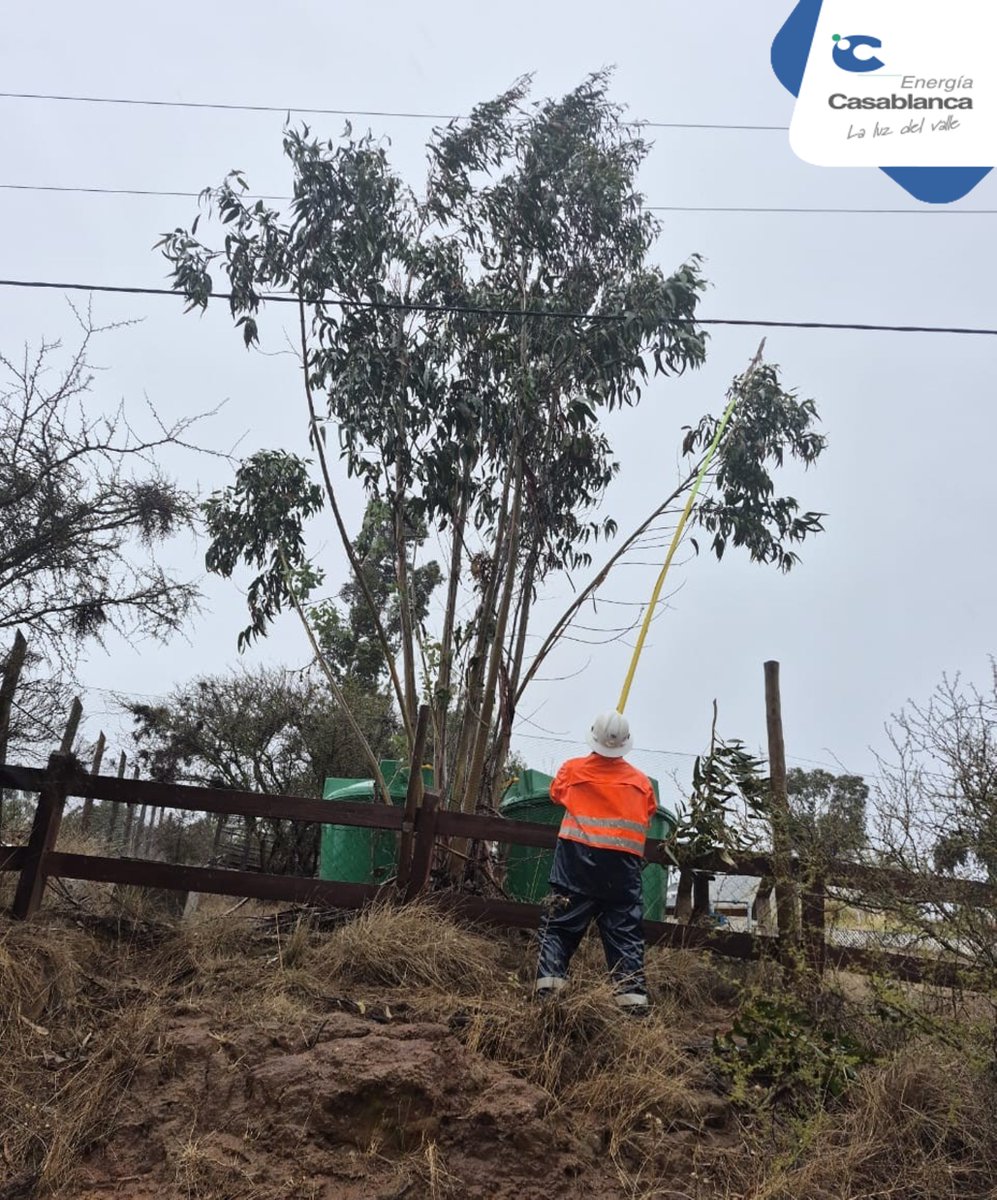 casablanca_cl's tweet photo. #CasablancaInforma: Equipos de emergencias se encuentran trabajando para normalizar el servicio de los hogares del sector #Maitenes en la comuna de #Casablanca. Los mantendremos informados por esta vía. https://t.co/JpdgeiZbzg