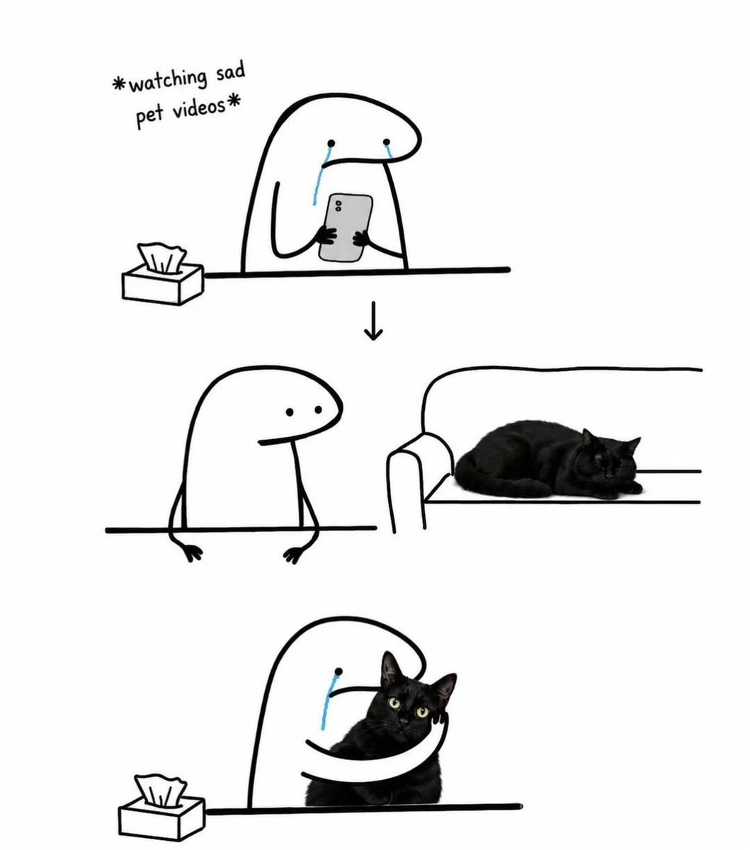 blackscats's tweet photo. We all do the same thing  😭 https://t.co/QBtPdJw46Y