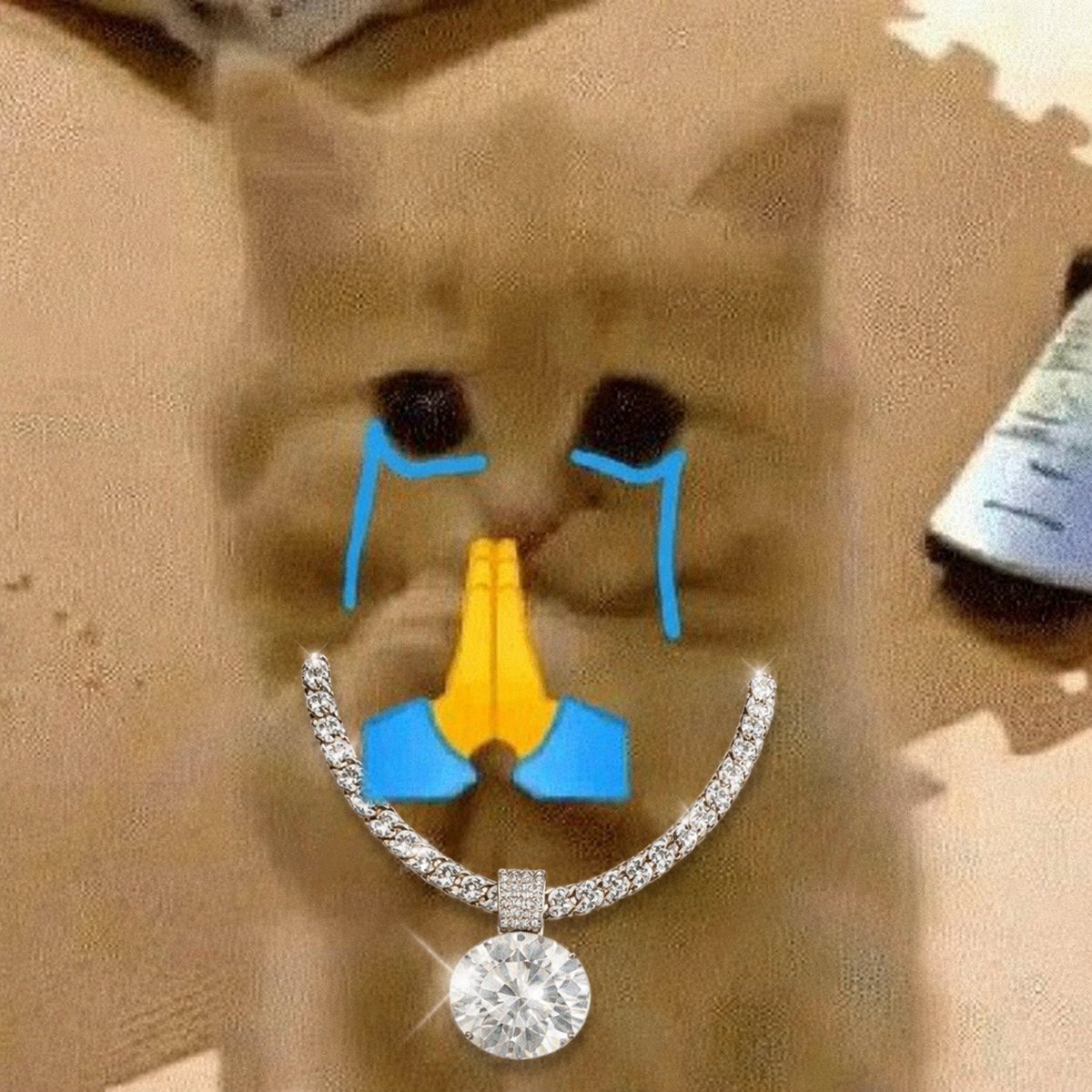 immiston's tweet photo. @souljaboy $pls buy https://t.co/VlvTZY1ZZy