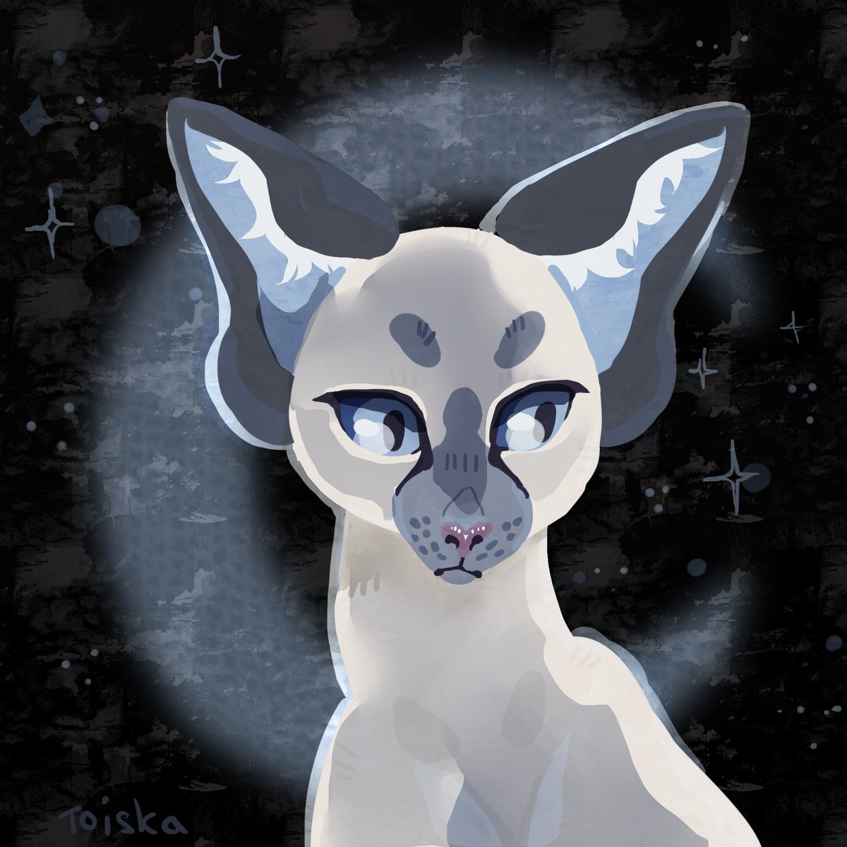 Toiska1's tweet photo. Artfight attack
#2
Cute kitty :3
_____________________
#artfight2026ㅤ #artfightㅤ #artfightteamcomedy #artfightattack #cat #cute #artwork #kitten #feral #comedy https://t.co/u9J2ELH48w