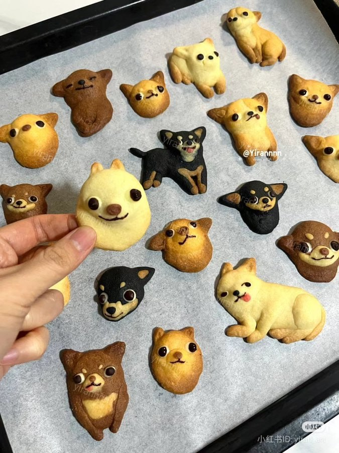 prettiestavenue's tweet photo. silly dog cookies https://t.co/WLcZ0BSlNY