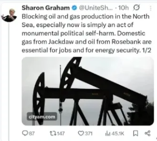 AnotherGreen tweet media