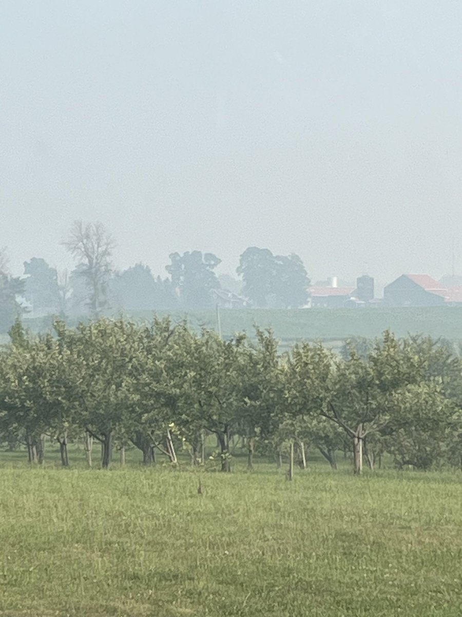 CiderFire's tweet photo. @CityNatasha just another angle to show how much the fruit trees are here in Ontario! #brucecountyON #Orchard #wildfiresmoke #CanadasRarestOrchards https://t.co/cOu01Af0Ex