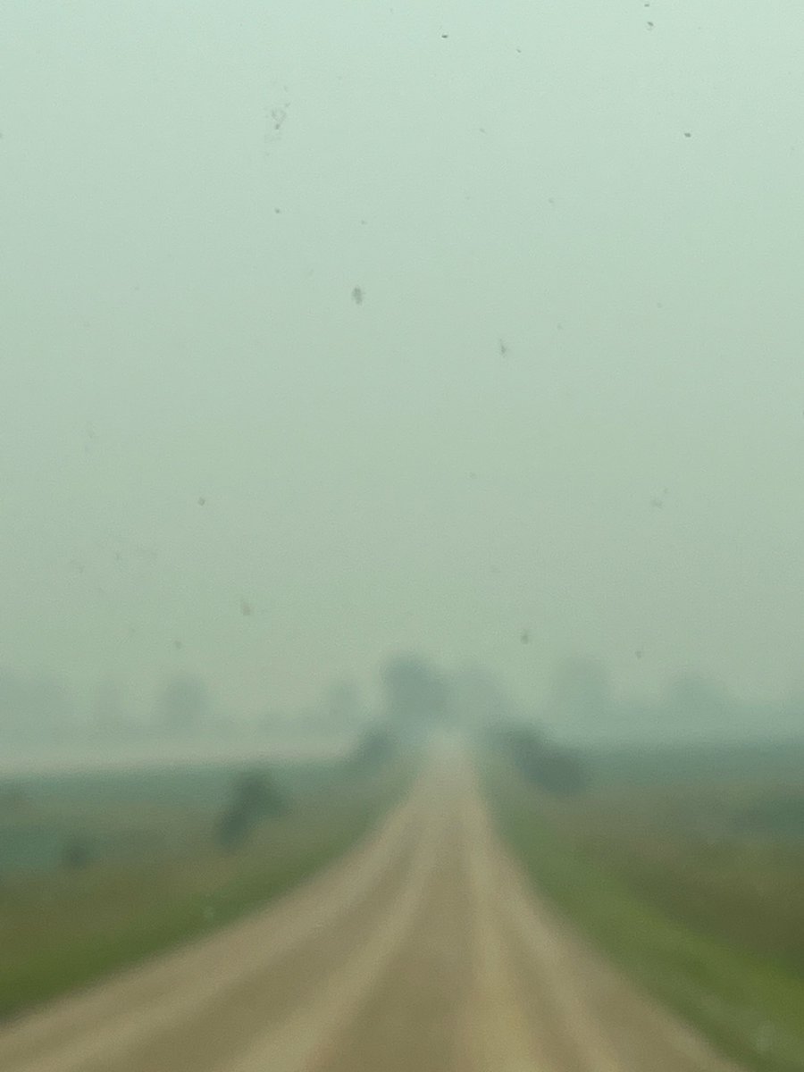 CiderFire's tweet photo. @CityNatasha just another angle to show how much the fruit trees are here in Ontario! #brucecountyON #Orchard #wildfiresmoke #CanadasRarestOrchards https://t.co/cOu01Af0Ex