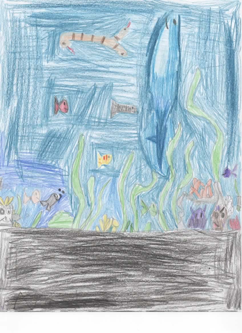 RainaMeginley's tweet photo. The kids did another MASS ATTACK. Check it out! https://t.co/P4NfJ2jC5f