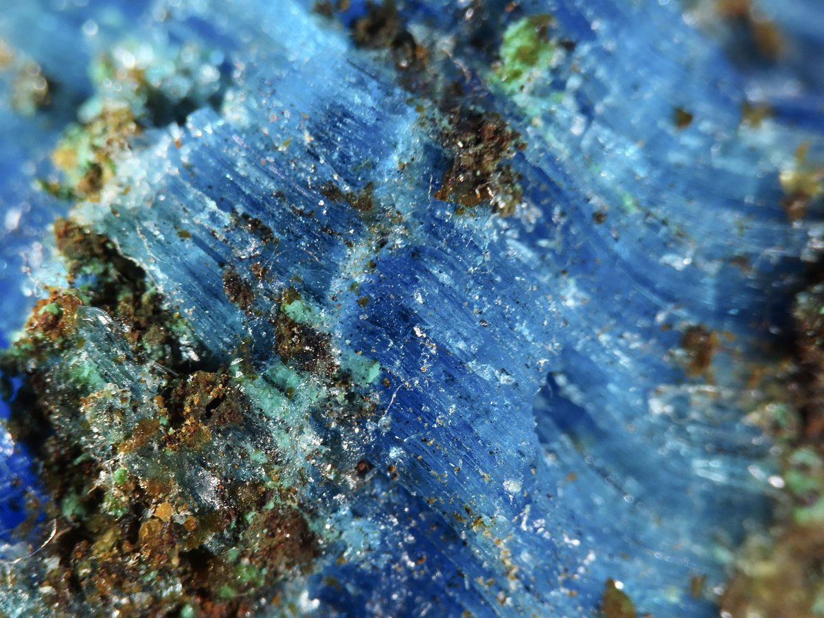 oiseau_mineral's tweet photo. Chalcanthite
Planet Mine, La Paz County, Arizona, USA.
33.9×29.1×34.6mm https://t.co/jylrIPJfWI