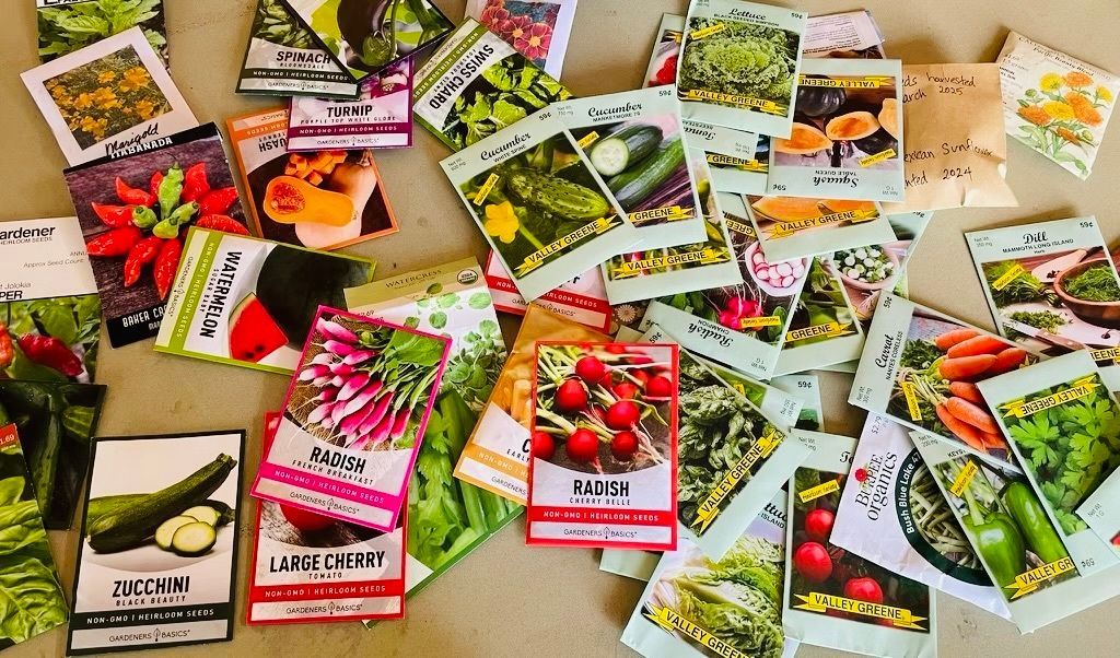 KarmaforCara's tweet photo. In honor of #NationalSpinachDay 🥬, we're highlighting Food to Flourish co-founded by K4C microgrant recipient Barkha (18). The youth-led nonprofit assists communities in PA &amp; MD by assessing needs at food banks &amp; establishing seed exchange programs at public libraries! Wow! https://t.co/4uiySE6Qmb