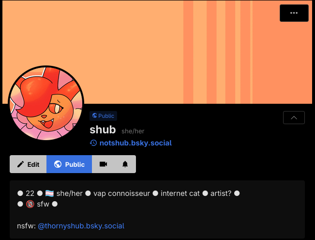 shub  tweet media