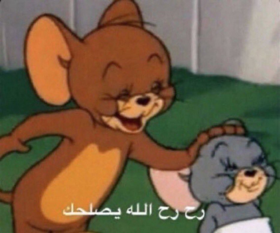 ام عسكر tweet media
