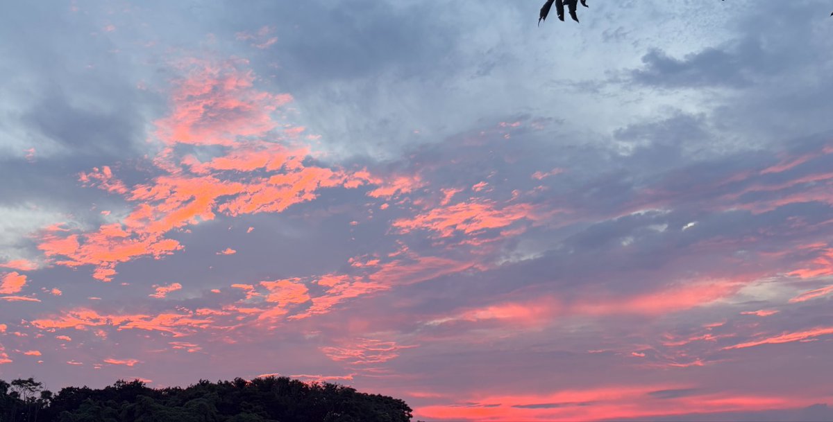 averi8's tweet photo. 夕日って綺麗すぎる https://t.co/GAdMxp3168