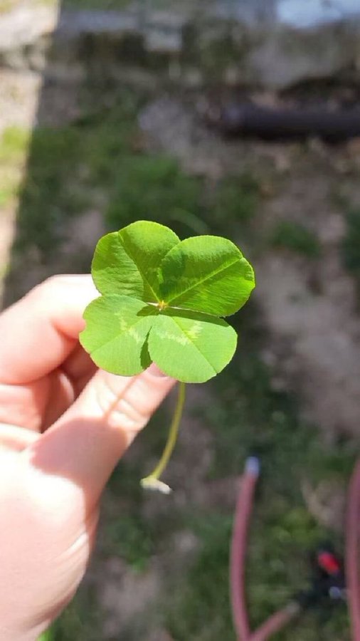 pozitifevibe's tweet photo. NO BAD LUCK IN JULY
NO BAD LUCK IN JULY
NO BAD LUCK IN JULY
NO BAD LUCK IN JULY
NO BAD LUCK IN JULY
NO BAD LUCK IN JULY
NO BAD LUCK IN JULY
NO BAD LUCK IN JULY https://t.co/8nMQQplfrl
