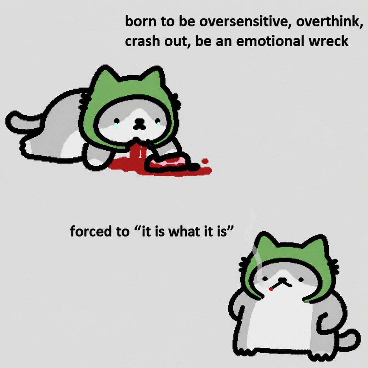 robinhudthecat's tweet photo. @Cryptilt sadly I has ; - ; 

but hud stay on https://t.co/3kGUvKCe3H