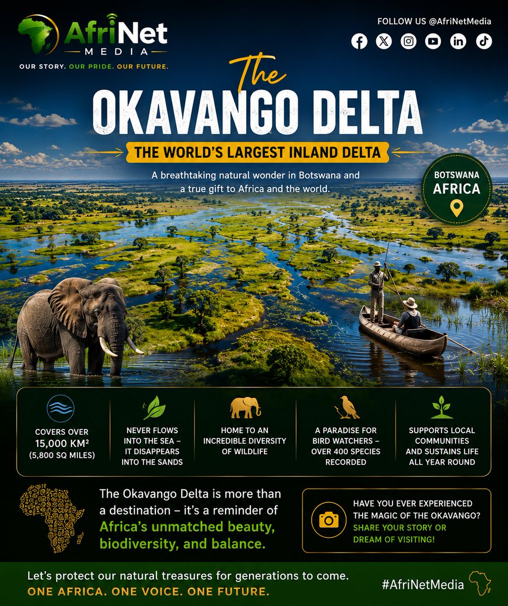 AfriNet_Media's tweet photo. Did You Know? 

The Okavango Delta in Botswana is the world's largest inland delta. Instead of flowing into the sea, its waters spread into lush wetlands that support elephants, lions, hippos, and 400+ bird species. Would you love to visit? 

#AfriNetMedia #ExploreAfrica https://t.co/kOo2s8V28s