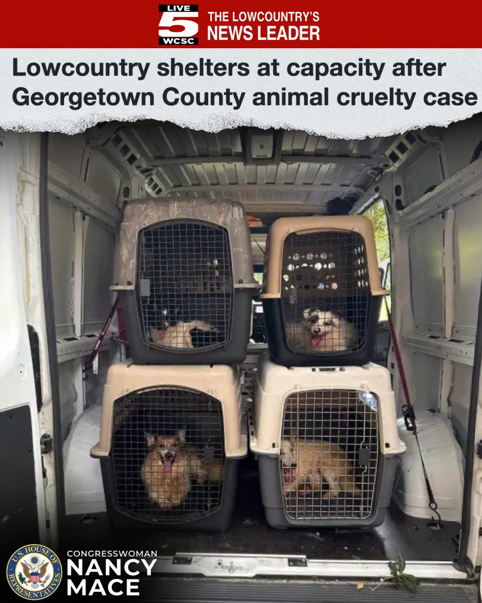 RepNancyMace's tweet photo. South Carolina, this is a wakeup call.

Remains of more than 125 dead dogs were found on a Georgetown County property. More than 100 dogs and nearly a dozen cats were rescued. This is one of the most horrific animal cruelty cases South Carolina has ever seen.

Two people face charges, including animal cruelty, ill treatment of animals, and improper burial.

Justice isn't optional. Every person responsible must be prosecuted to the fullest extent of the law.

Our shelters now face the enormous task of caring for the survivors. If you can foster, adopt, volunteer, or donate, now is the time.

More info here: https://t.co/t25PxopAkZ