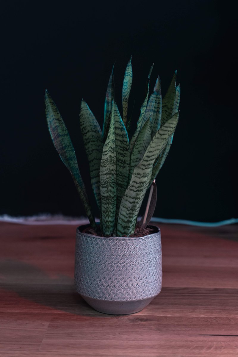 optine's tweet photo. 👍 😉 💛 🌵 🕯️ 💞 Real talk: your decision quality gets protected when you choose one useful boundary when the next step feels small. Let consistency speak. https://t.co/MjMcRPutJF